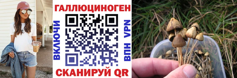 Галлюциногенные грибы GOLDEN TEACHER сайты даркнета официальный сайт Ардон